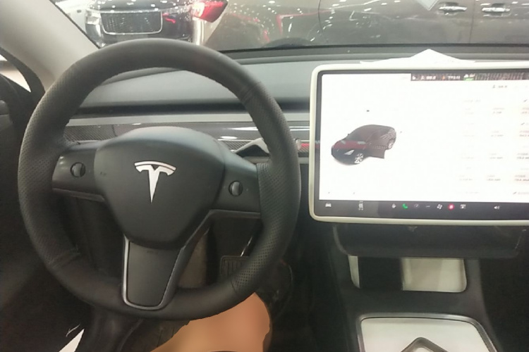 Tesla Model Y 2023 car image #10