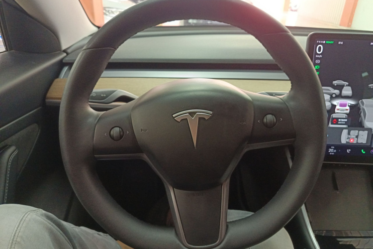 Tesla Model 3 2020 immagine di auto #11