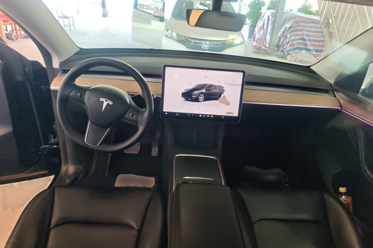 Tesla Model Y 2022 car image #10