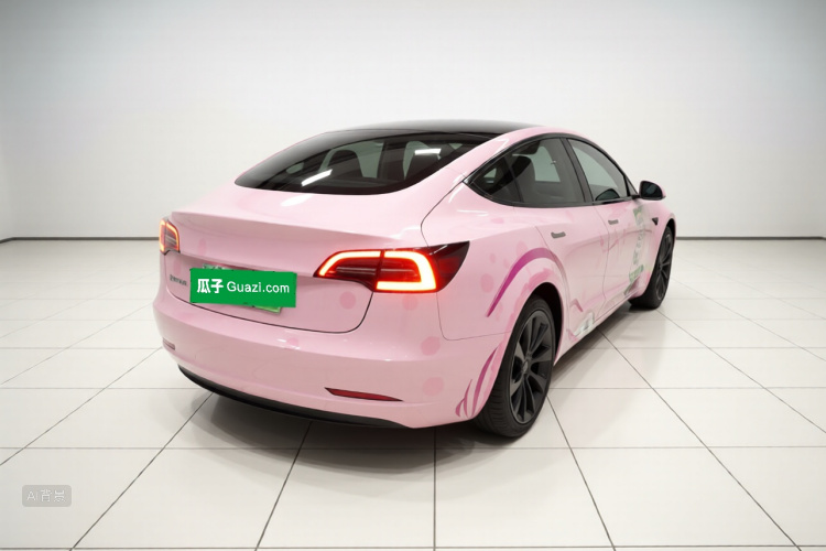 Tesla Model 3 2022 car image #7