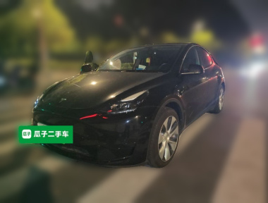 Tesla Model Y 2023 Tesla Model Y 2023 car image