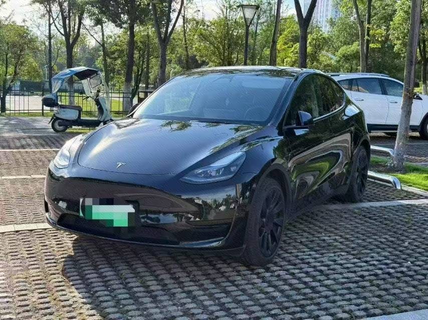 Tesla Model Y 2024 Tesla Model Y 2024 car image