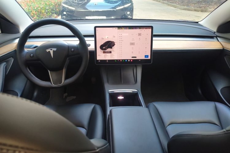 Tesla Model 3 2022 #10 Tesla Model 3 2022 imagen de coche #10