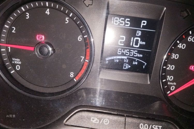 Volkswagen Polo 2016 car image #14