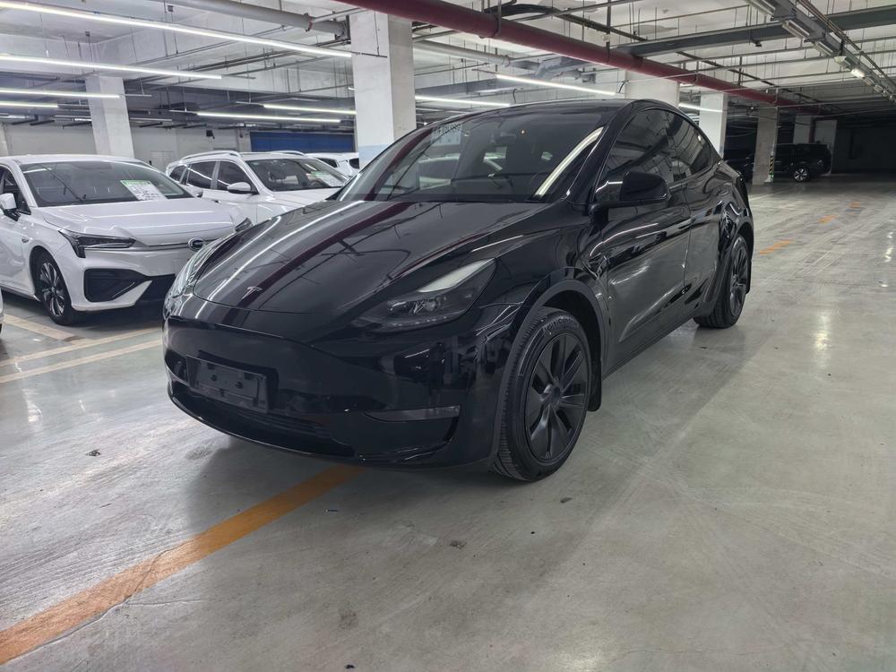 Tesla Model Y 2024 car image 