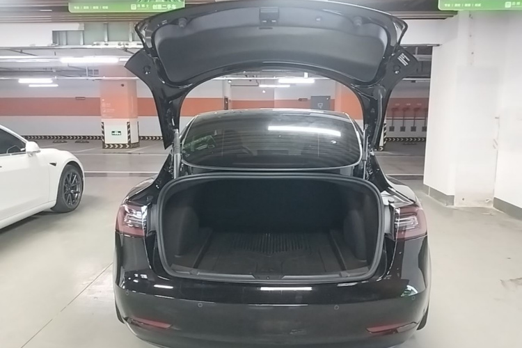 Tesla Model 3 2022 #19 Tesla Model 3 2022 immagine di auto #19