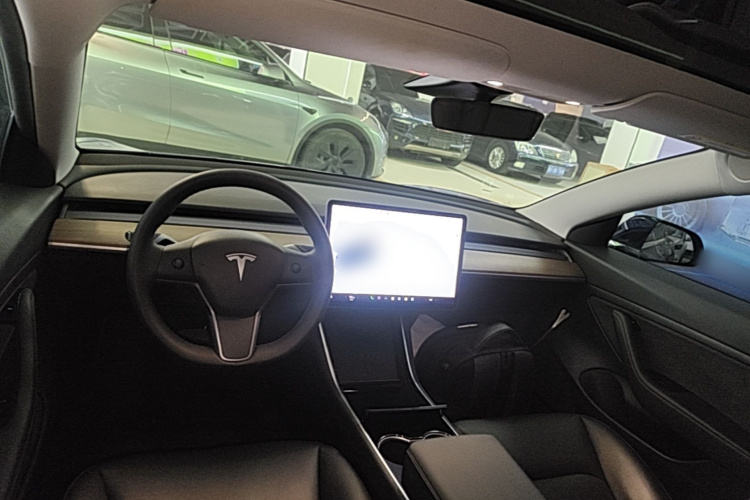 Tesla Model 3 2020 immagine di auto #10