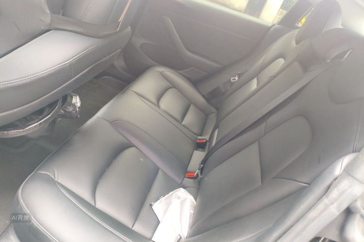 Tesla Model 3 2021 #19 Tesla Model 3 2021 car image #19
