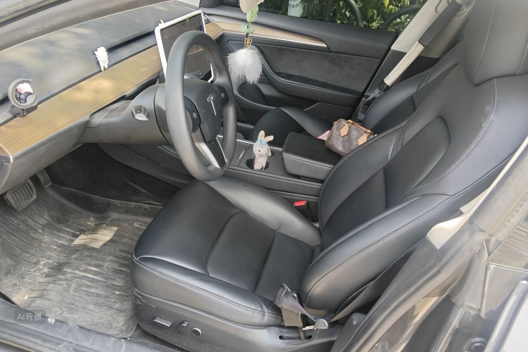 Tesla Model 3 2021 car image #17