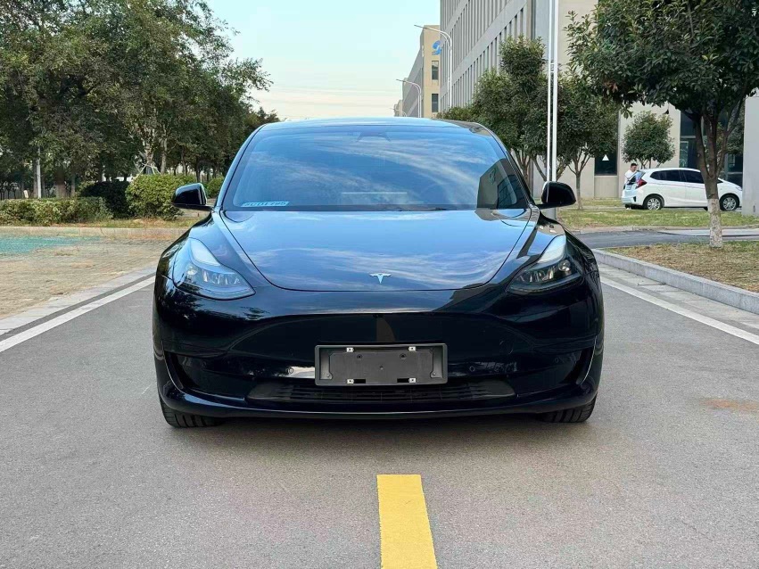 Tesla Model 3 2022 car image #2