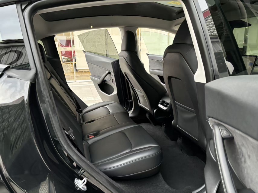 Tesla Model 3 2023 car image #8