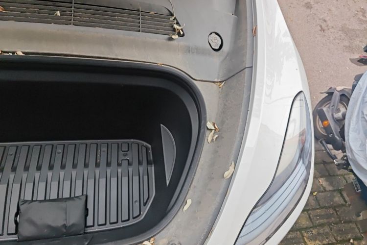 Tesla Model Y 2023 car image #24