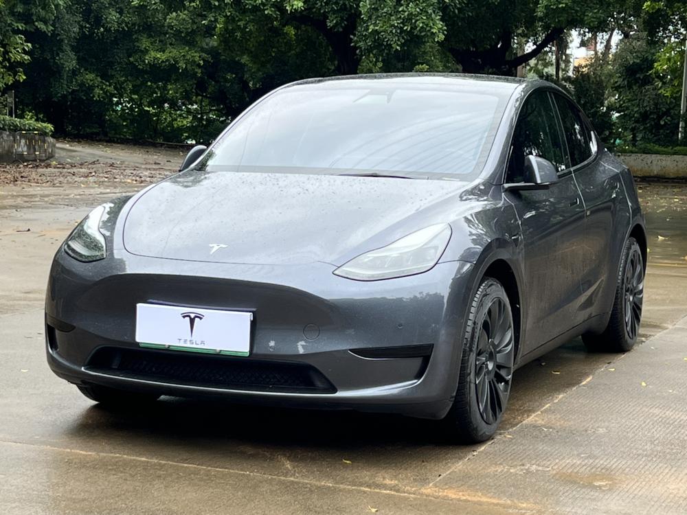 Tesla Model Y 2022 Tesla Model Y 2022 car image