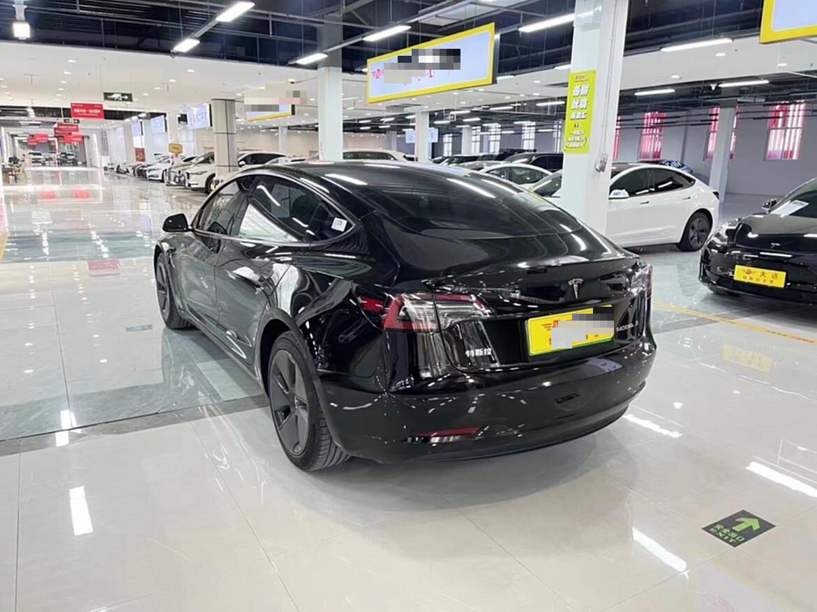 Tesla Model 3 2023 #11 Tesla Model 3 2023 car image #11