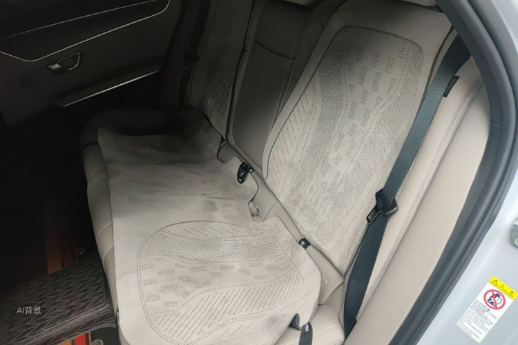BYD Han 2024 imagen de coche #19
