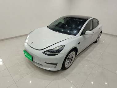 Tesla Model 3 2021 Tesla Model 3 2021 car image