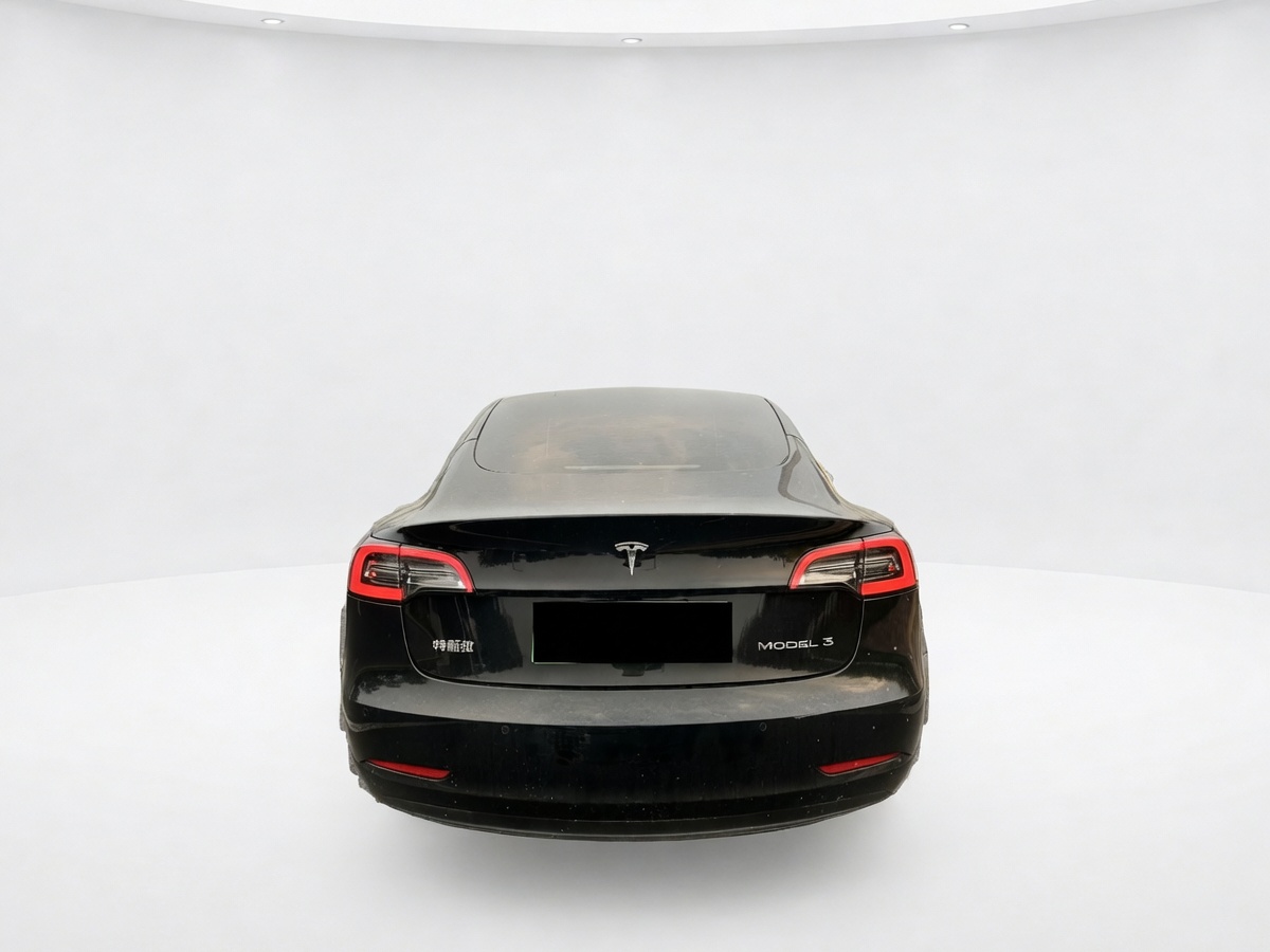 Tesla Model 3 2023 #6 Tesla Model 3 2023 car image #6