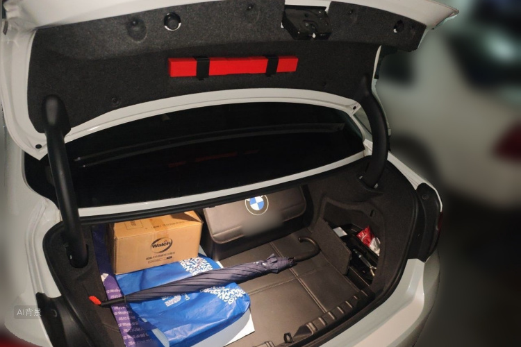 BMW 3 Series 2019 car image #21