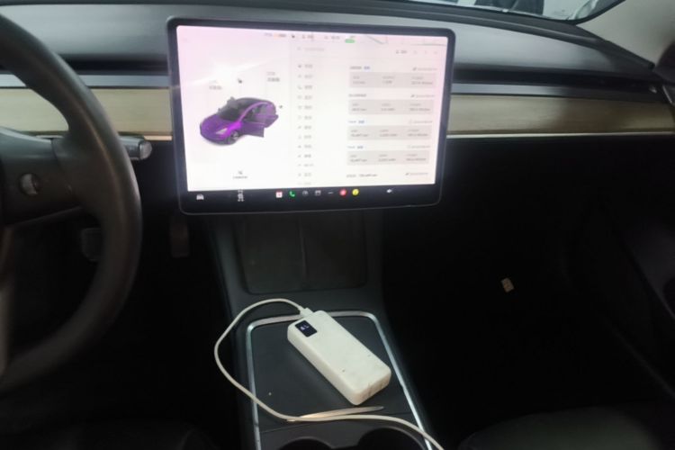 Tesla Model 3 2021 car image #13