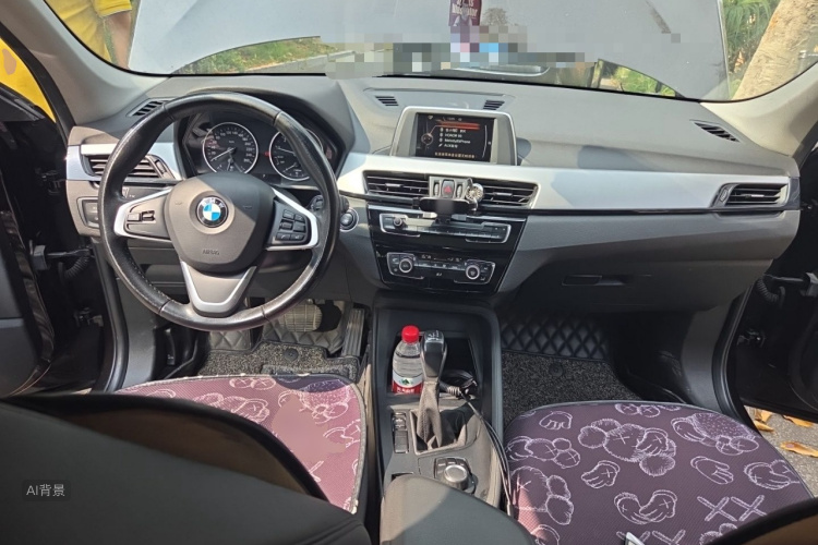BMW X1 2017 car image #11
