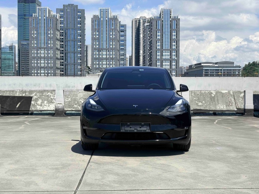 Tesla Model Y 2023 immagine di auto #2