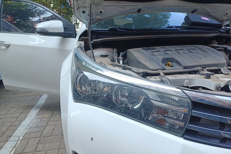 Toyota Corolla 2019 #8 Toyota Corolla 2019 car image #8