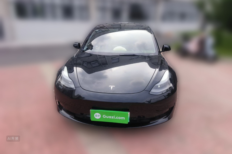 Tesla Model 3 2021 car image #3