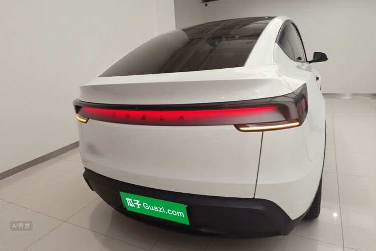 Tesla Model Y 2025 car image #6