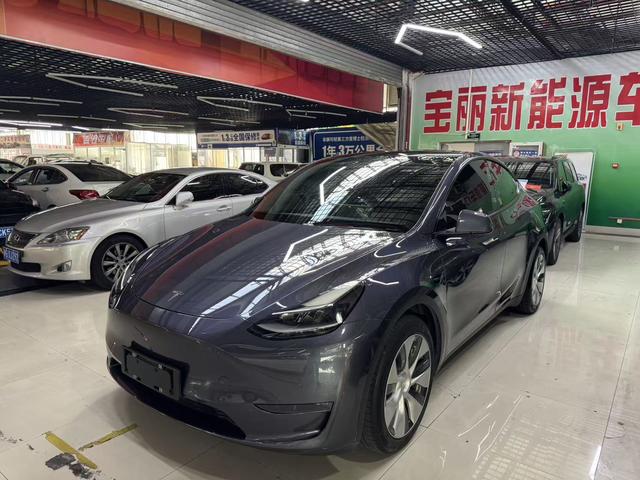 Tesla Model Y 2021 car image #15