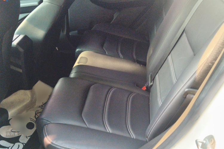 BYD Yuan New Energy 2020 car image #19