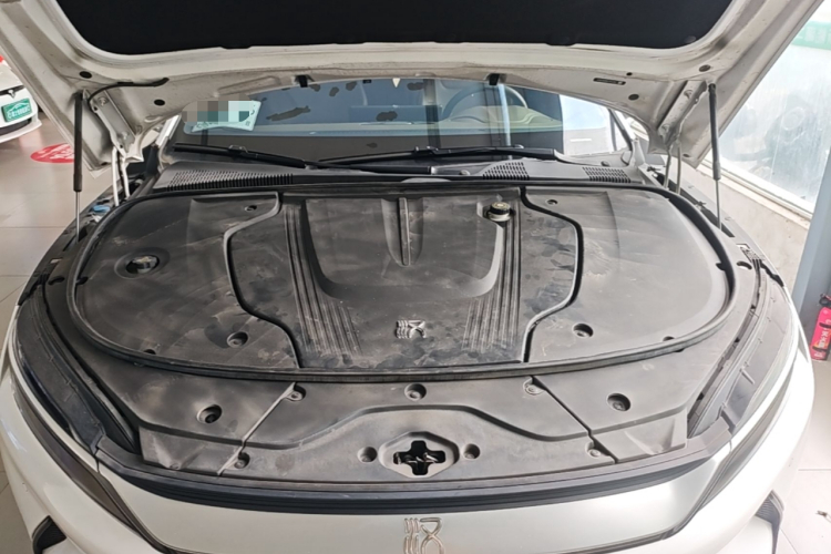BYD Han 2020 car image #22