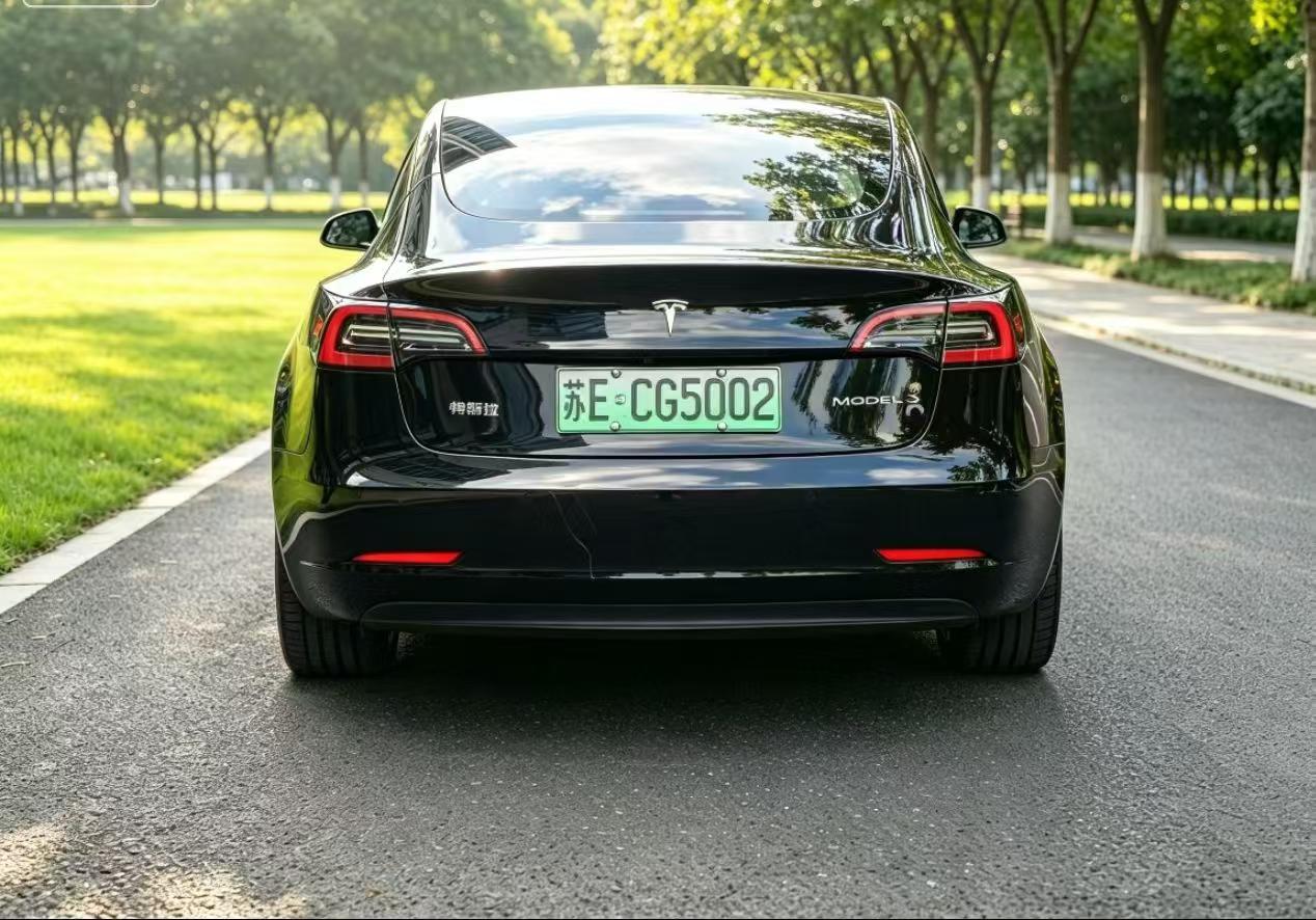 Tesla Model 3 2022 car image #8