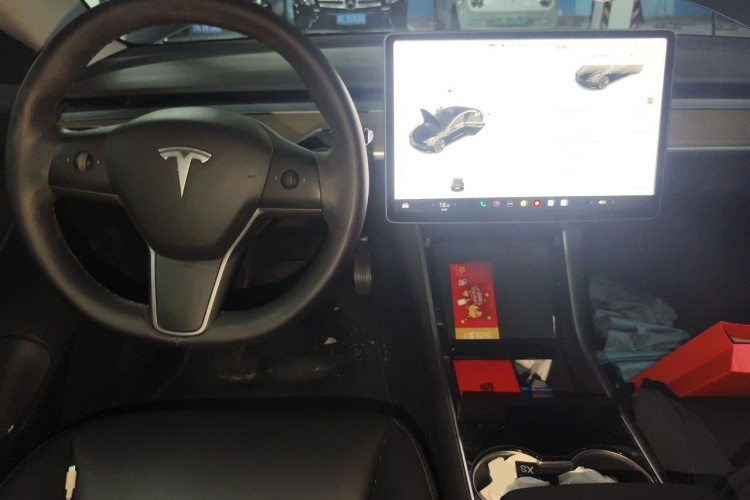 Tesla Model 3 2020 car image #12