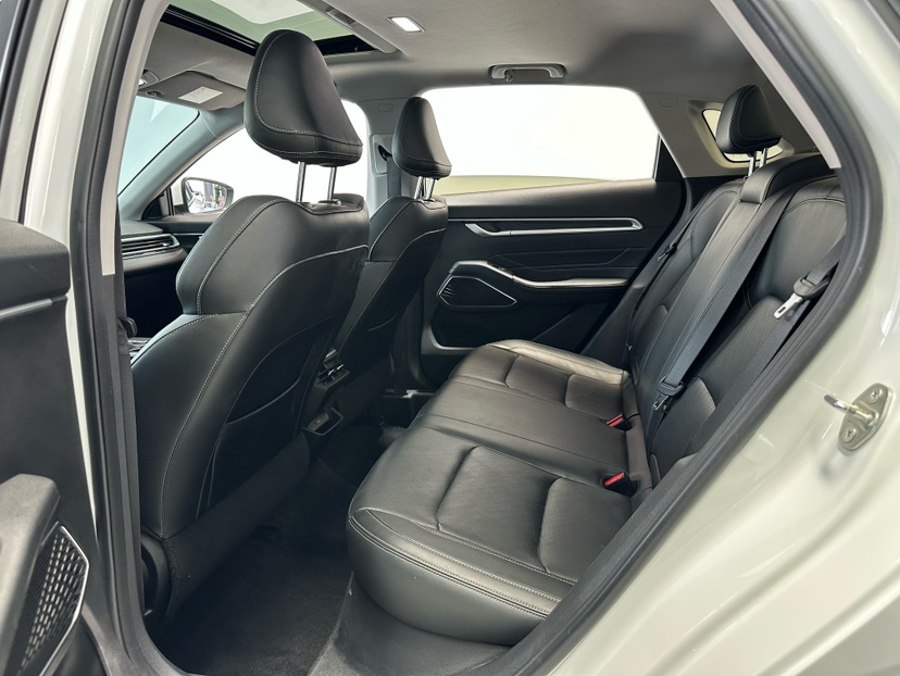 GEELY Emgrand 2022 immagine di auto #5