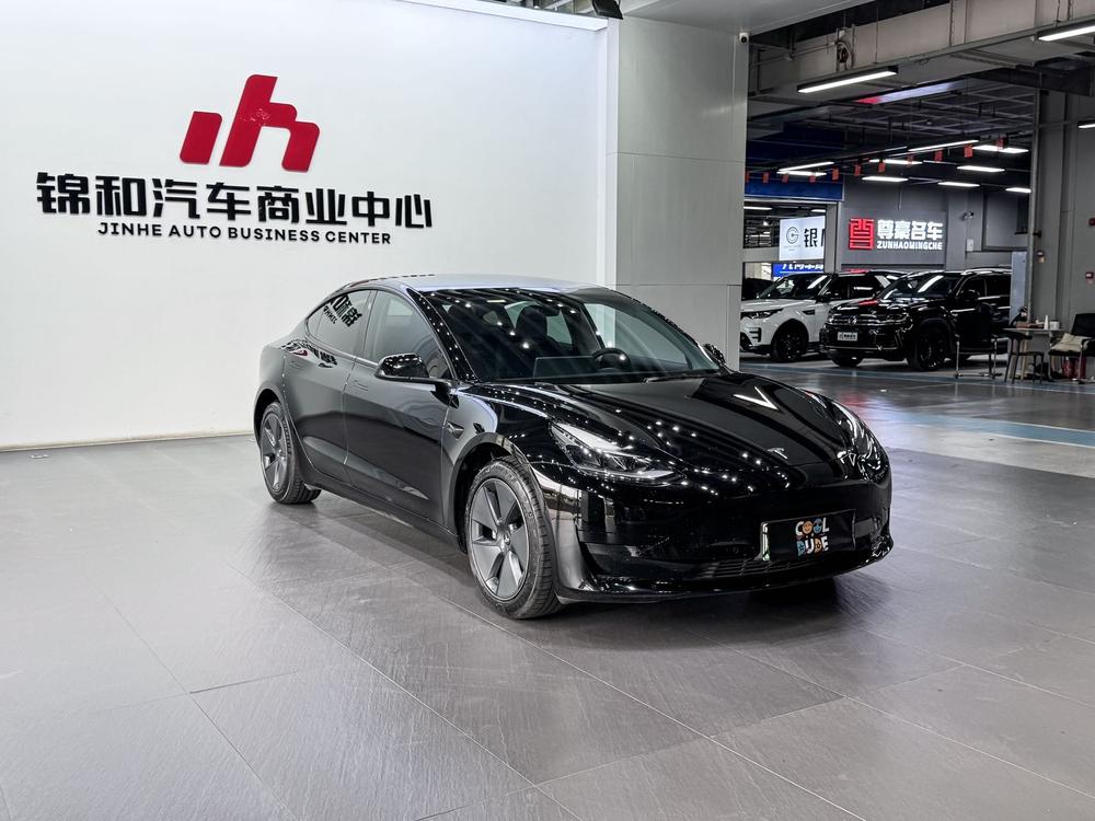 Tesla Model 3 2021 car image #3