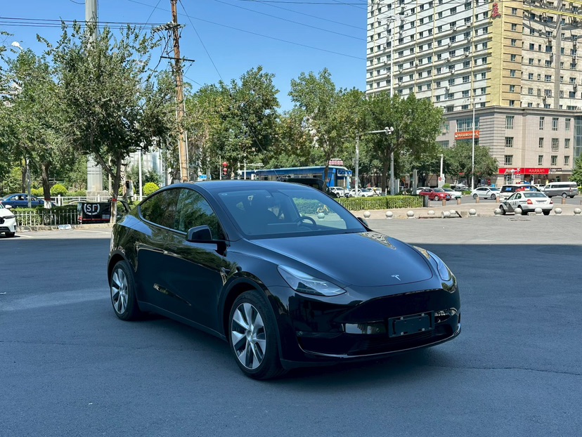 Tesla Model Y 2021 car image 