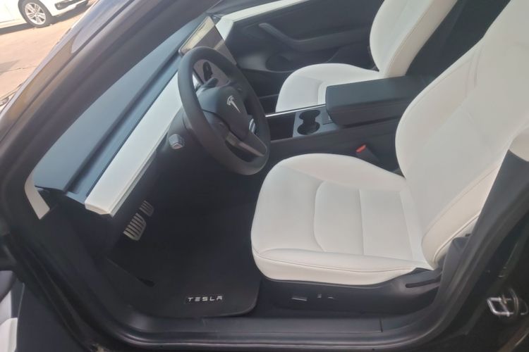 Tesla Model 3 2021 #19 Tesla Model 3 2021 car image #19