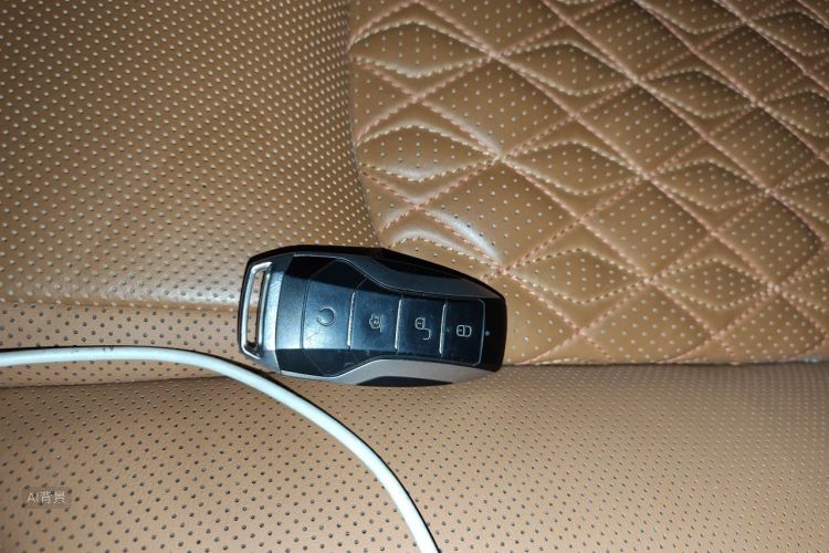 BYD Han 2021 car image #10
