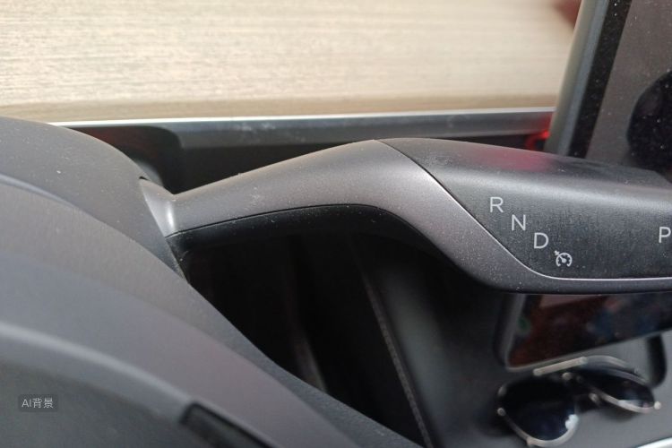 Tesla Model Y 2023 car image #16