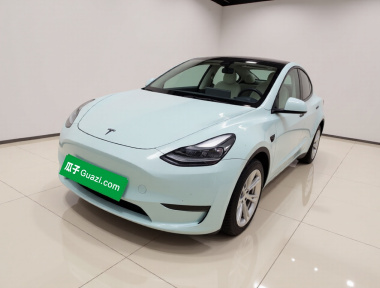 Tesla Model Y 2021 Tesla Model Y 2021 car image
