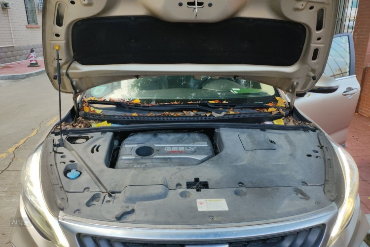 GEELY Emgrand GS 2019 صورة سيارة #22