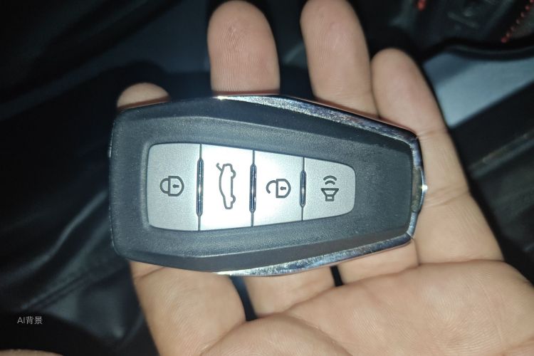 GEELY Emgrand 2021 immagine di auto #10
