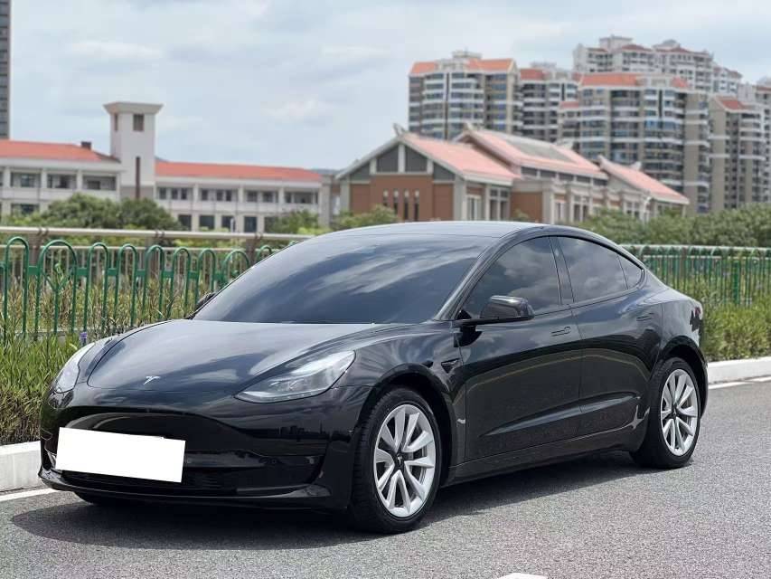 Tesla Model 3 2021 Tesla Model 3 2021 car image