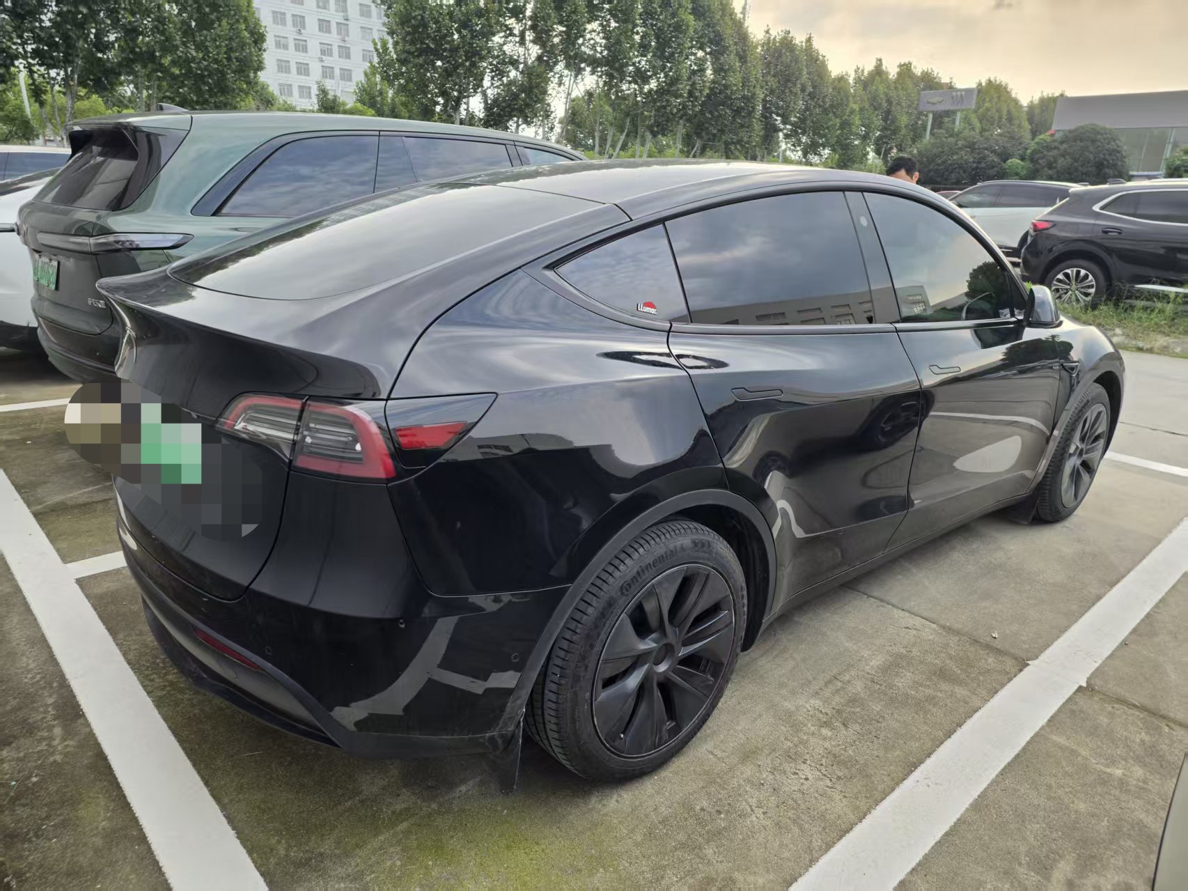 Tesla Model Y 2023 #8 Tesla Model Y 2023 car image #8