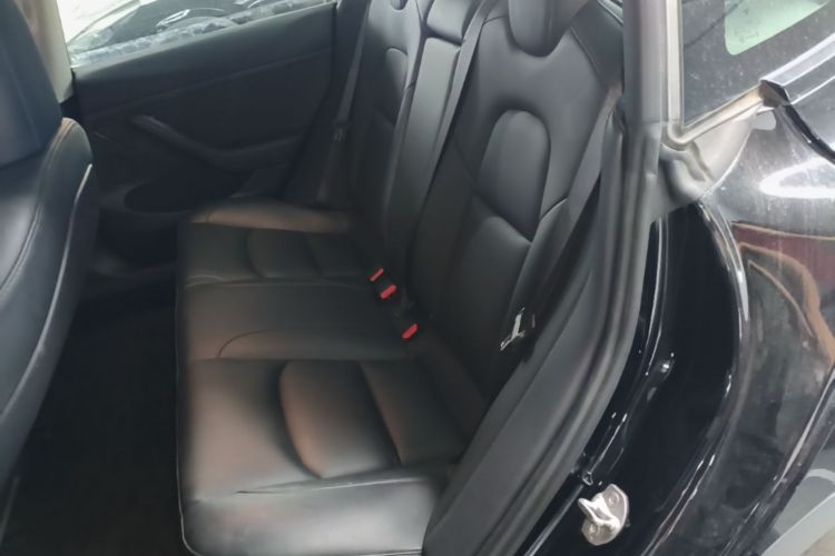 Tesla Model 3 2021 #17 Tesla Model 3 2021 car image #17