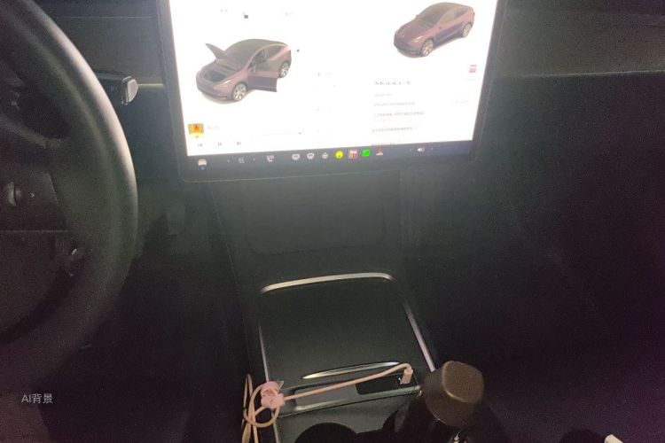 Tesla Model Y 2022 #15 Tesla Model Y 2022 car image #15