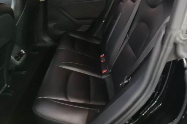 Tesla Model 3 2020 #17 Tesla Model 3 2020 car image #17