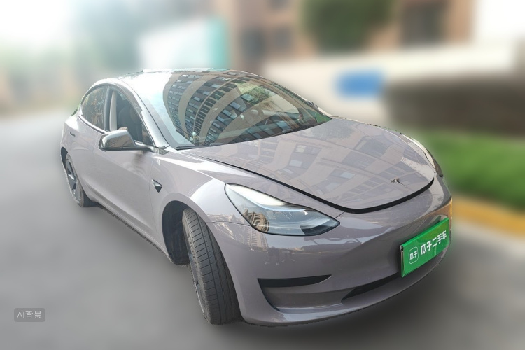 Tesla Model 3 2022 car image #4