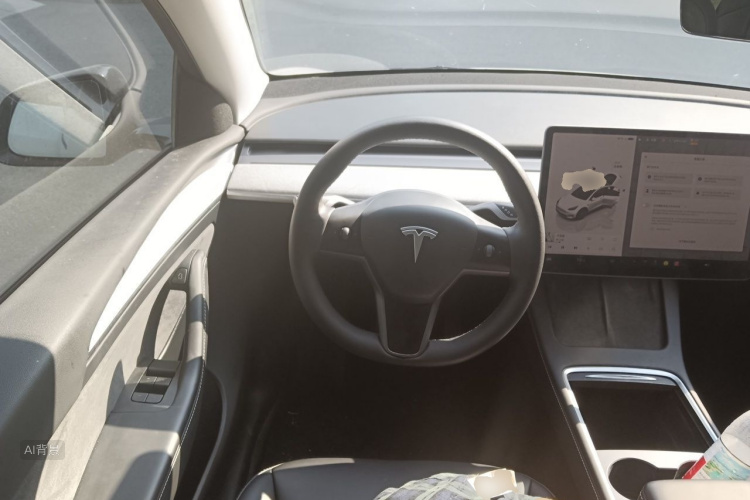 Tesla Model Y 2024 car image #12