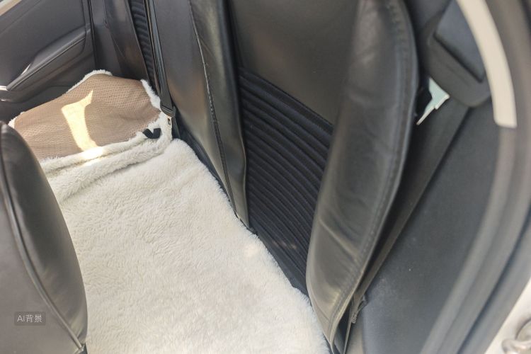 Volkswagen Lavida 2020 car image #19